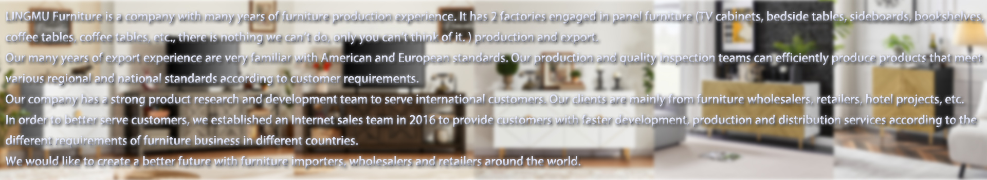 Dongguan Lingmu Furniture Co., Ltd.